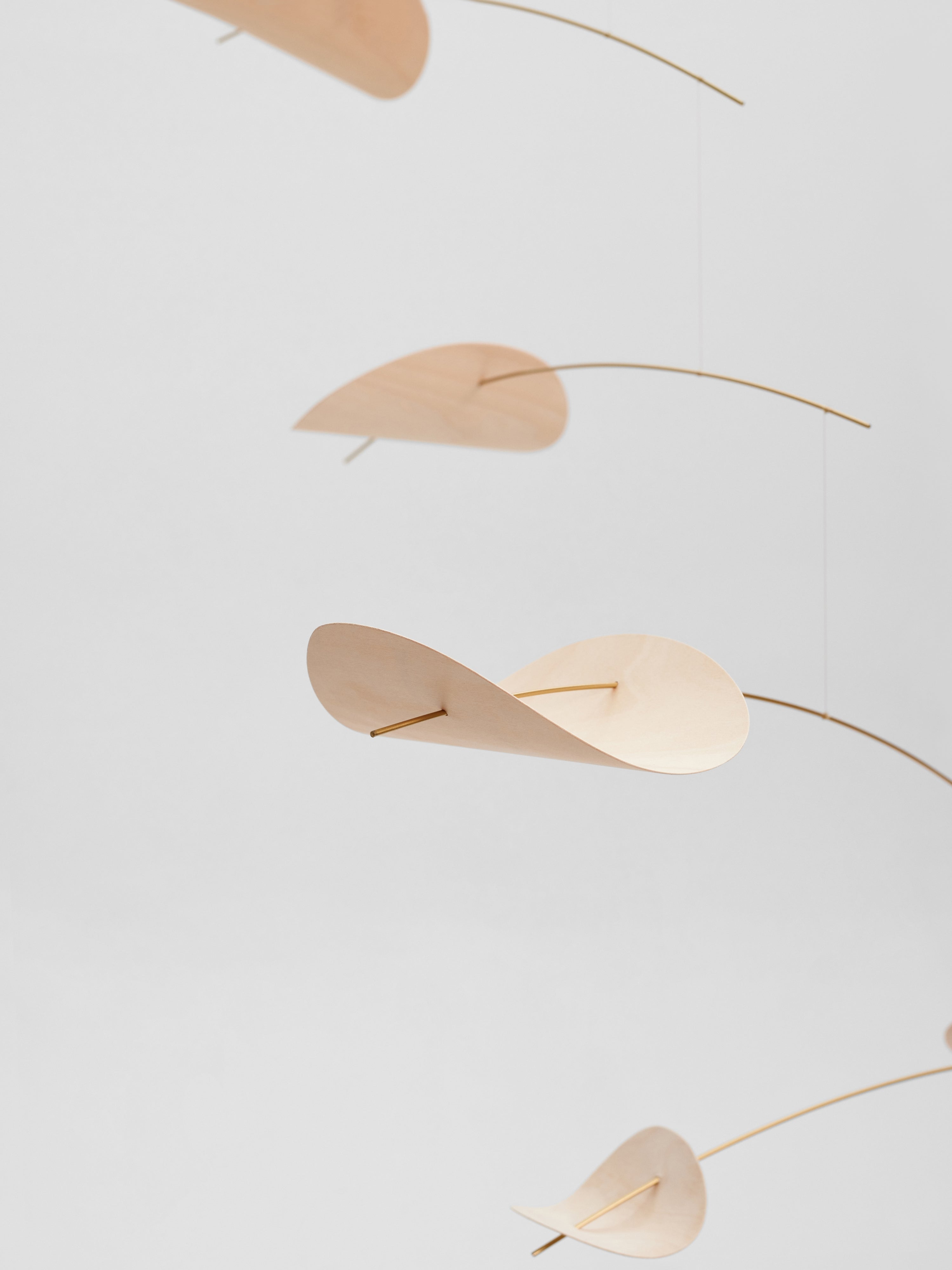 Drifting Clouds | Nature | Size L.