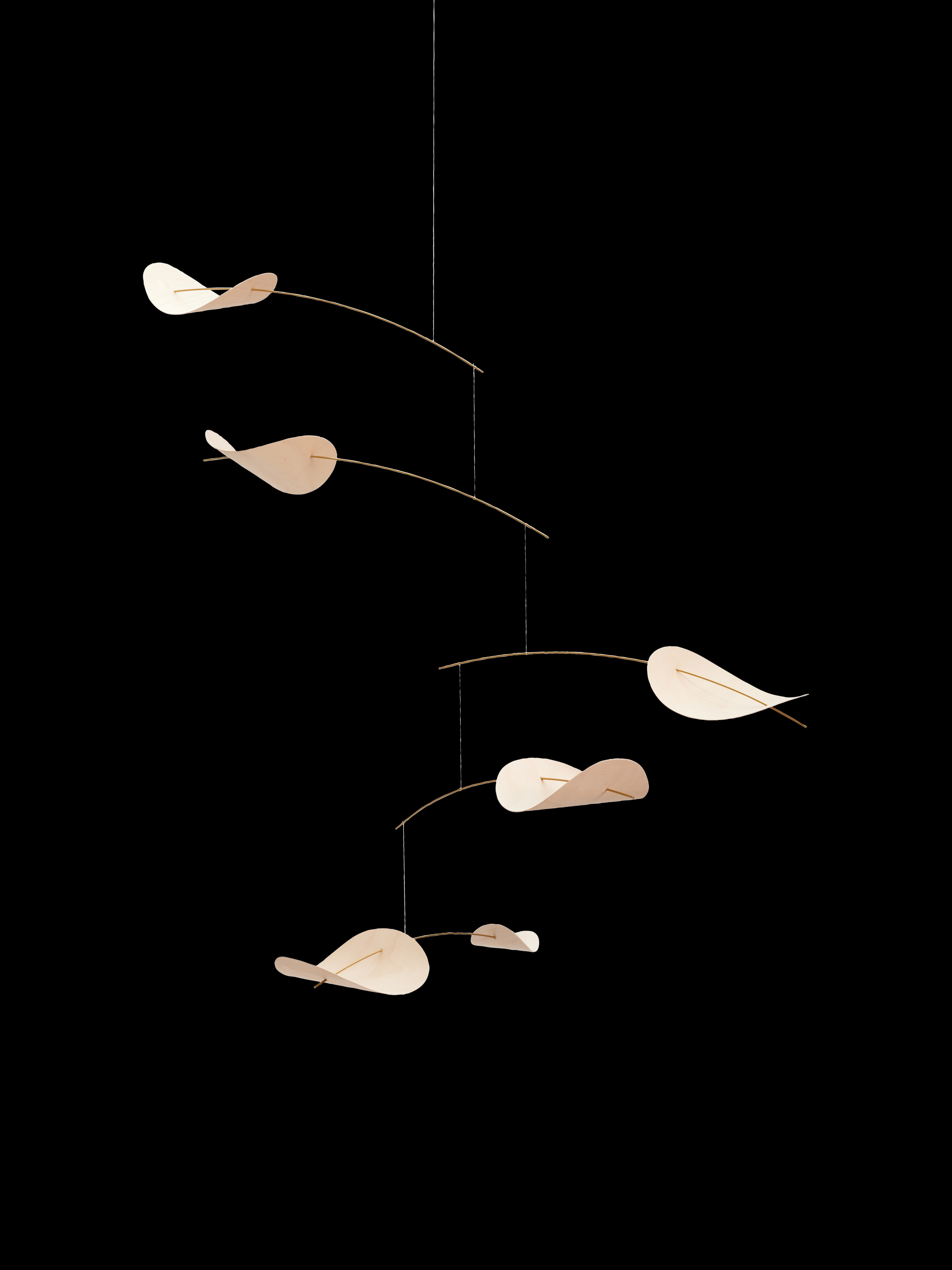 Drifting Clouds | Nature | Size L.