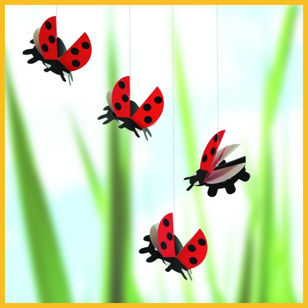 Lady Bird.