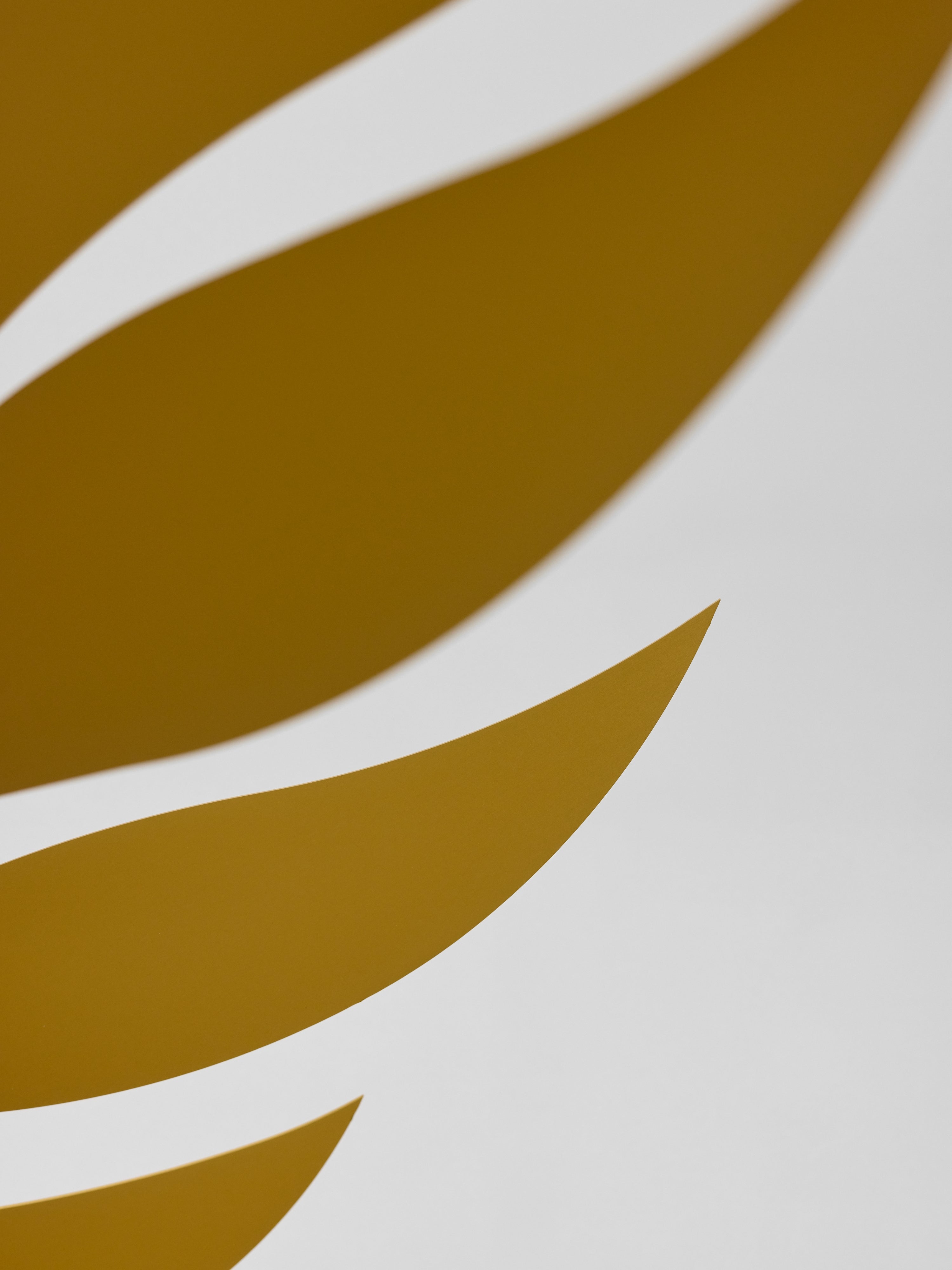 Golden Rhythm.