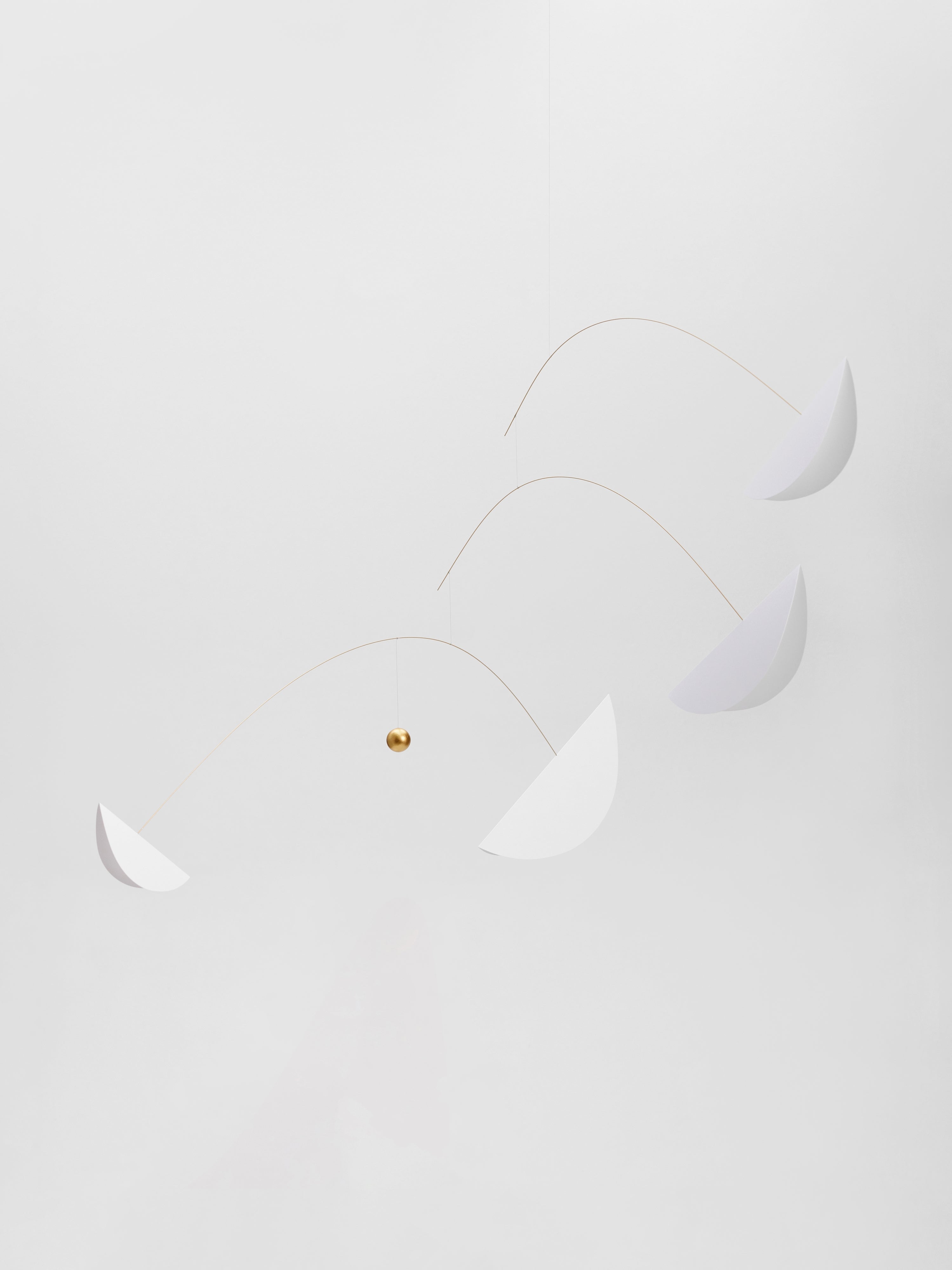 Life & Thread | Black & White | Size L.