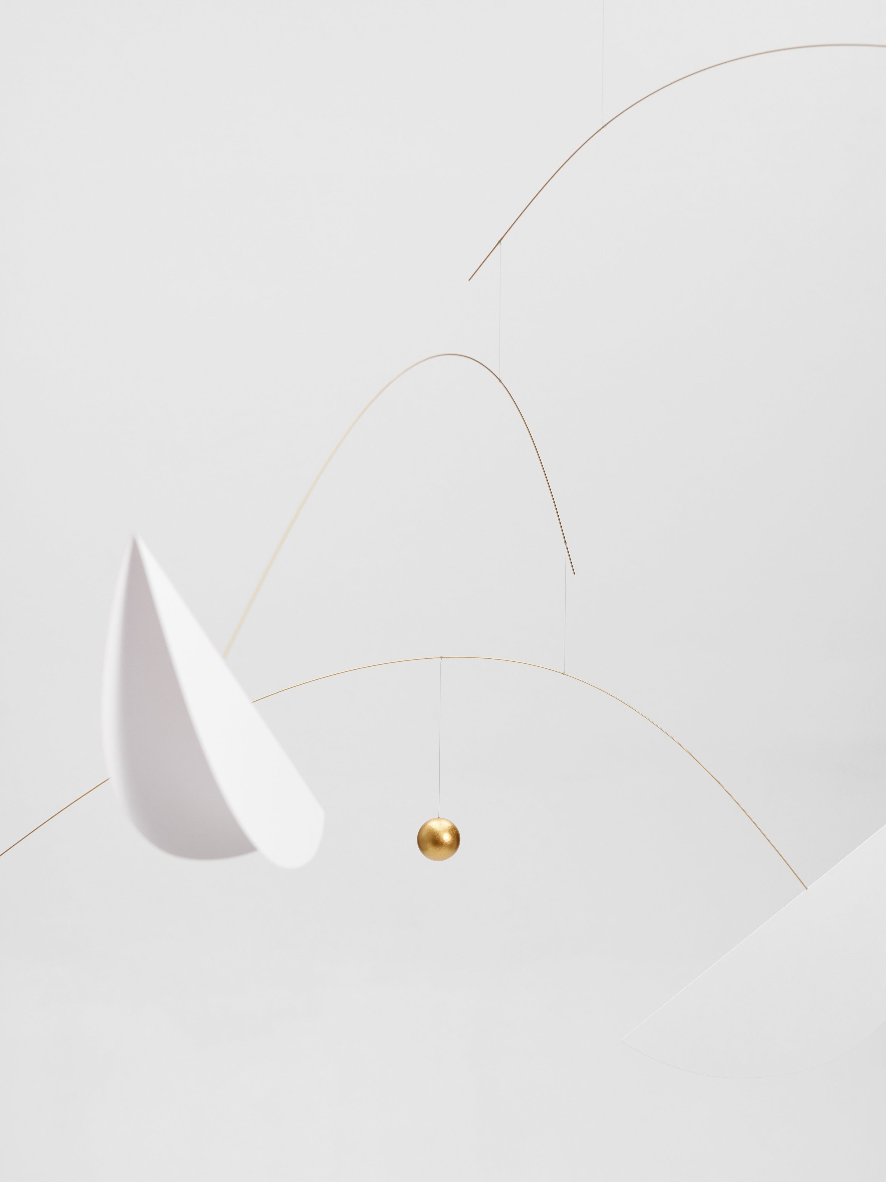 Life & Thread | Black & White | Size L.