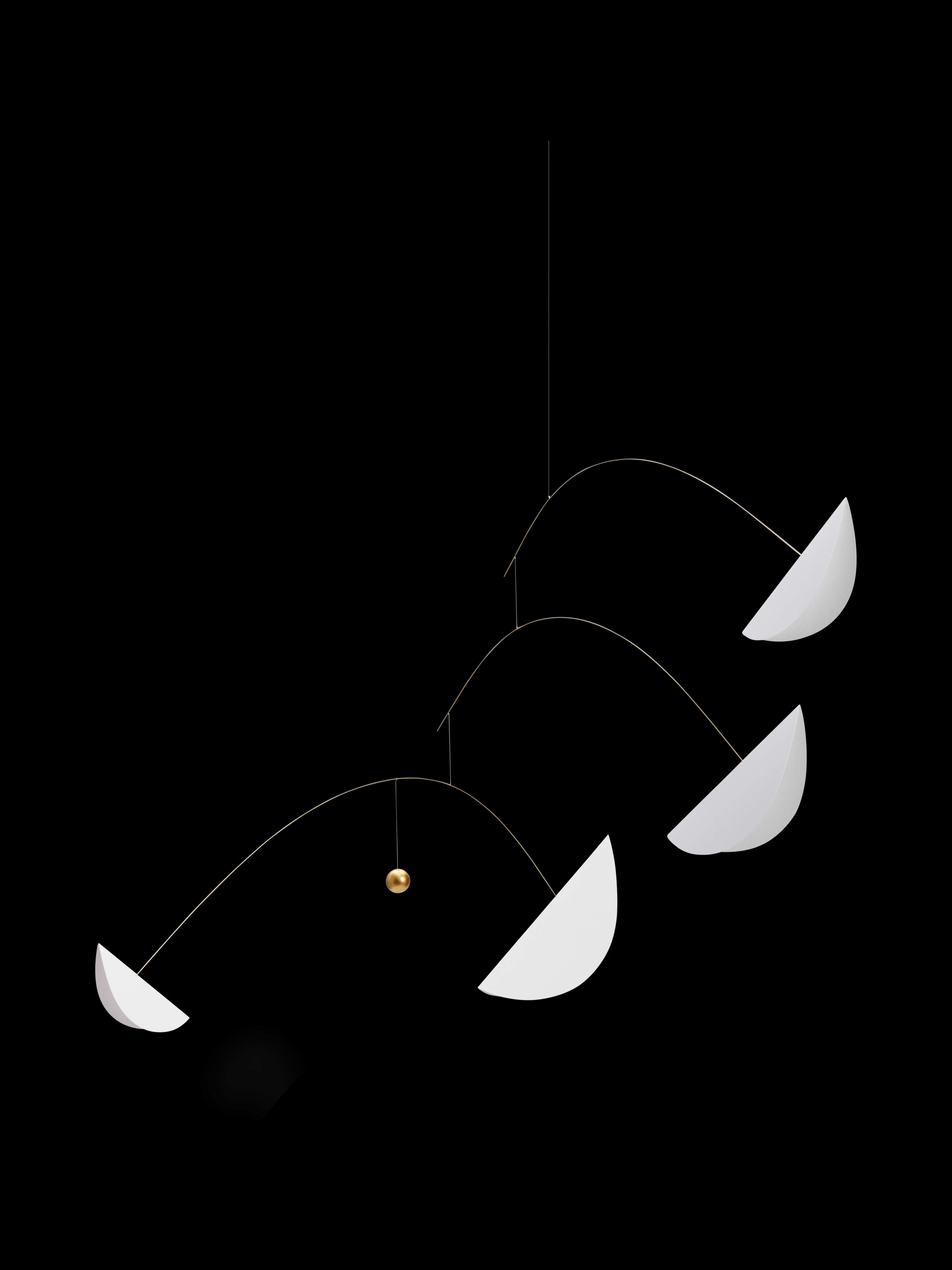 Life & Thread | Black & White | Size L.