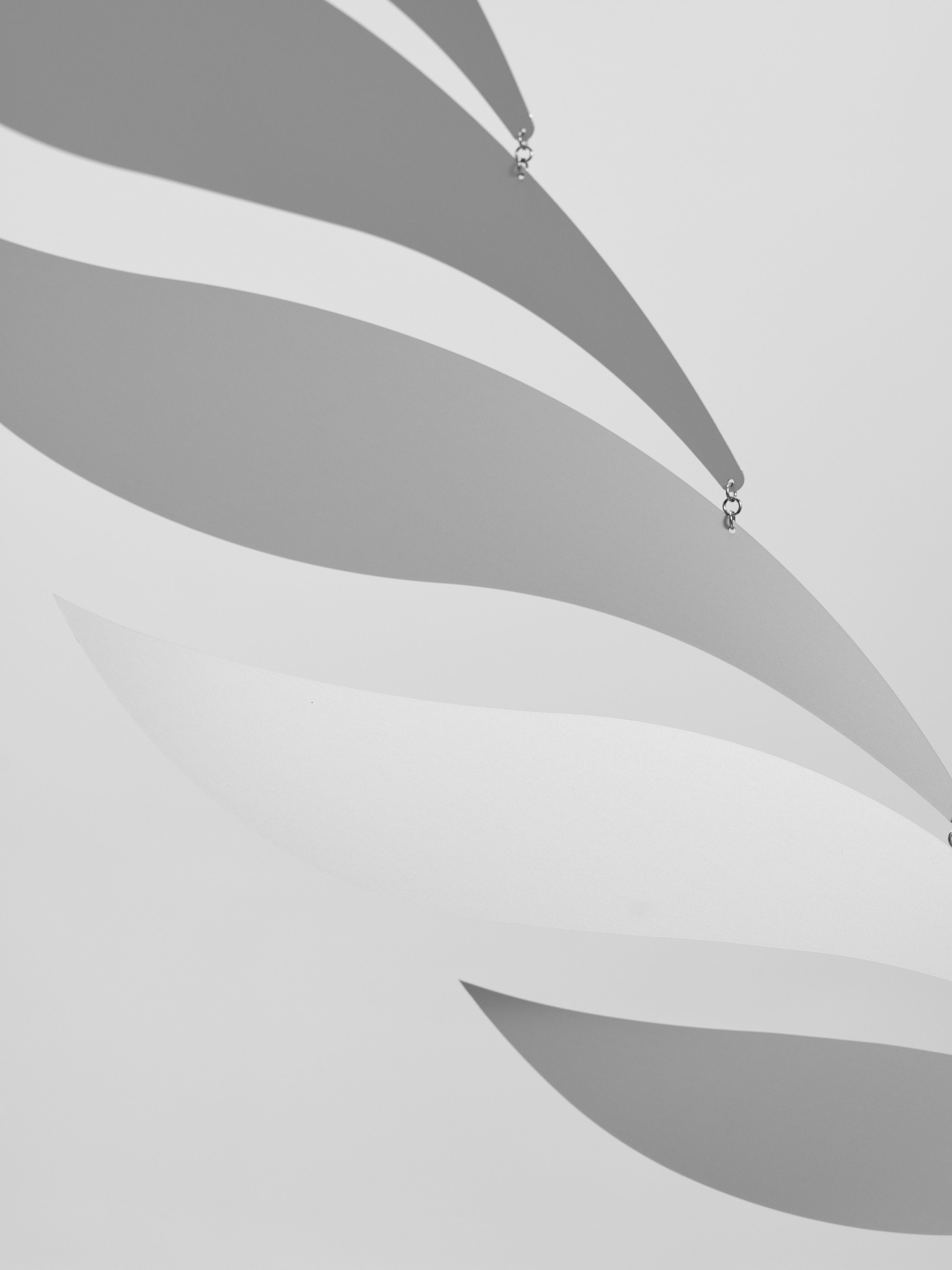 Silver Rhythm.