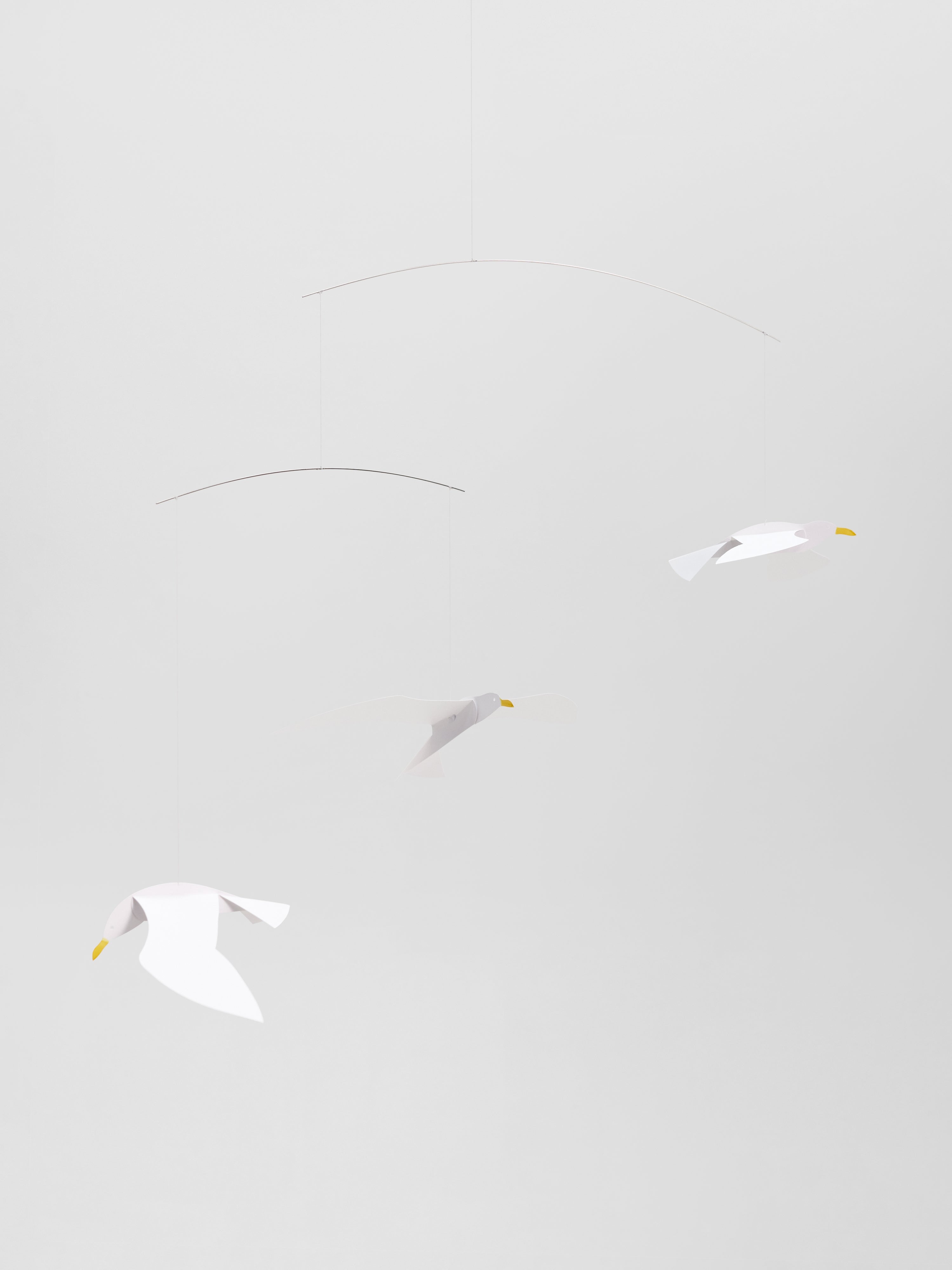 Soaring Seagulls.