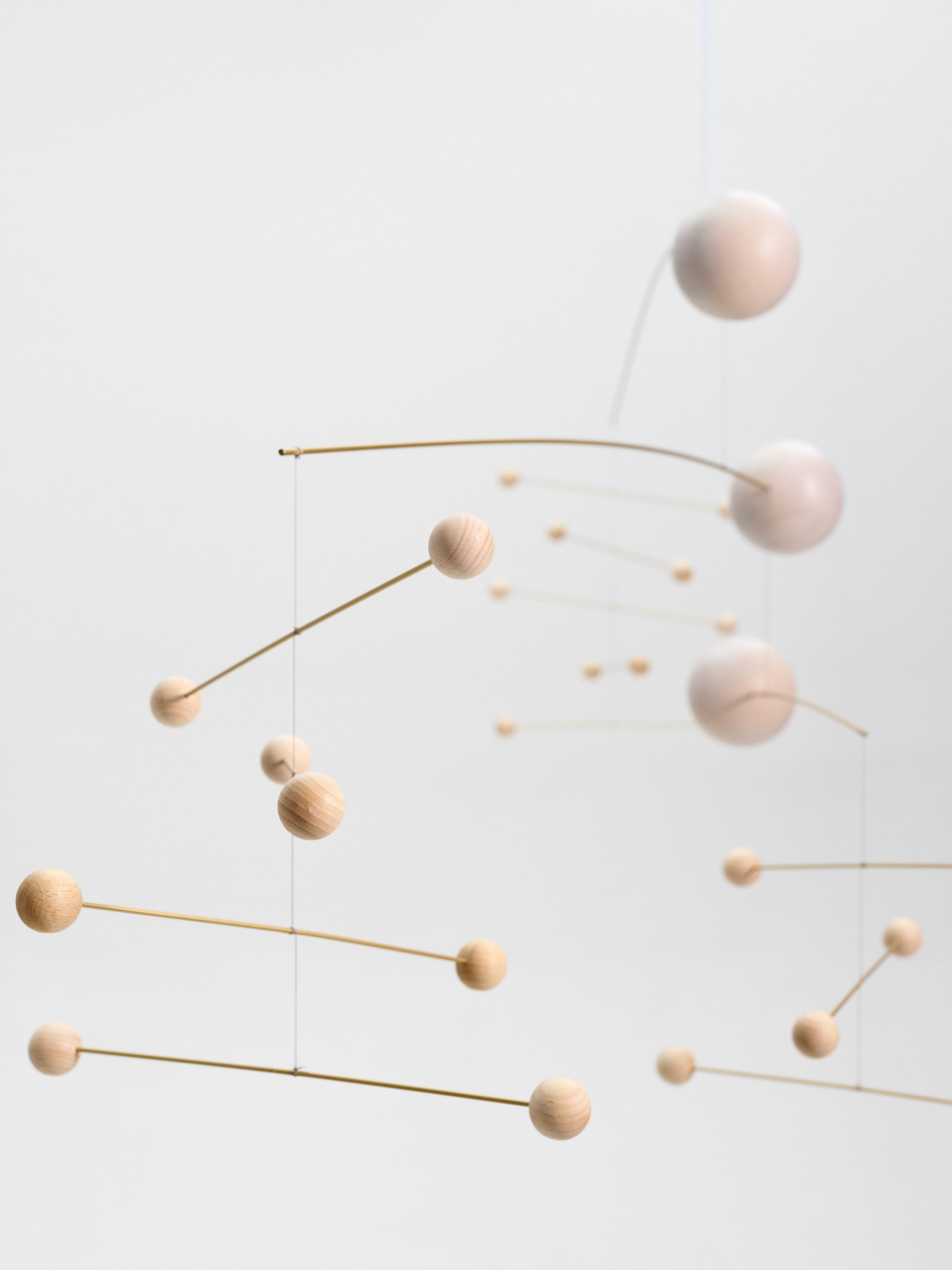 Symphony | Nature | Size XL.